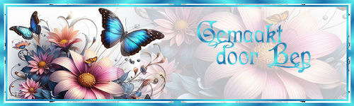 b+17+++banner.jpg